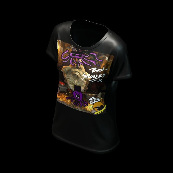 Shirt customised 16