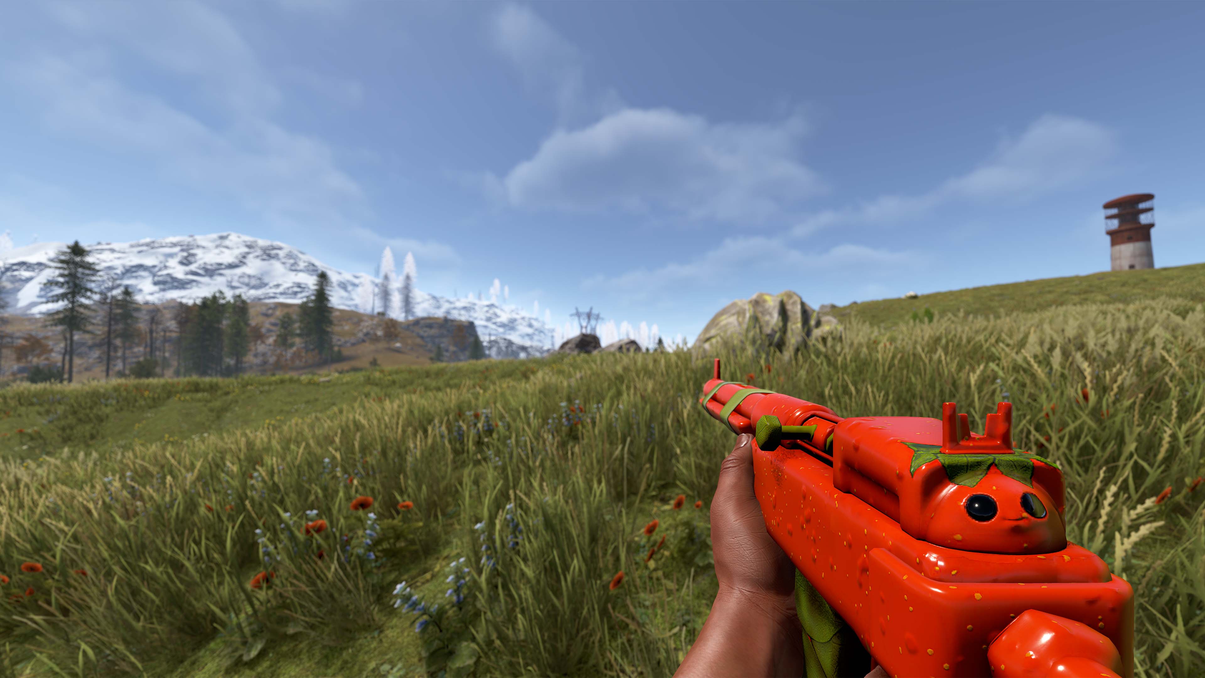 Señor Tomato SAR thumbnail 6