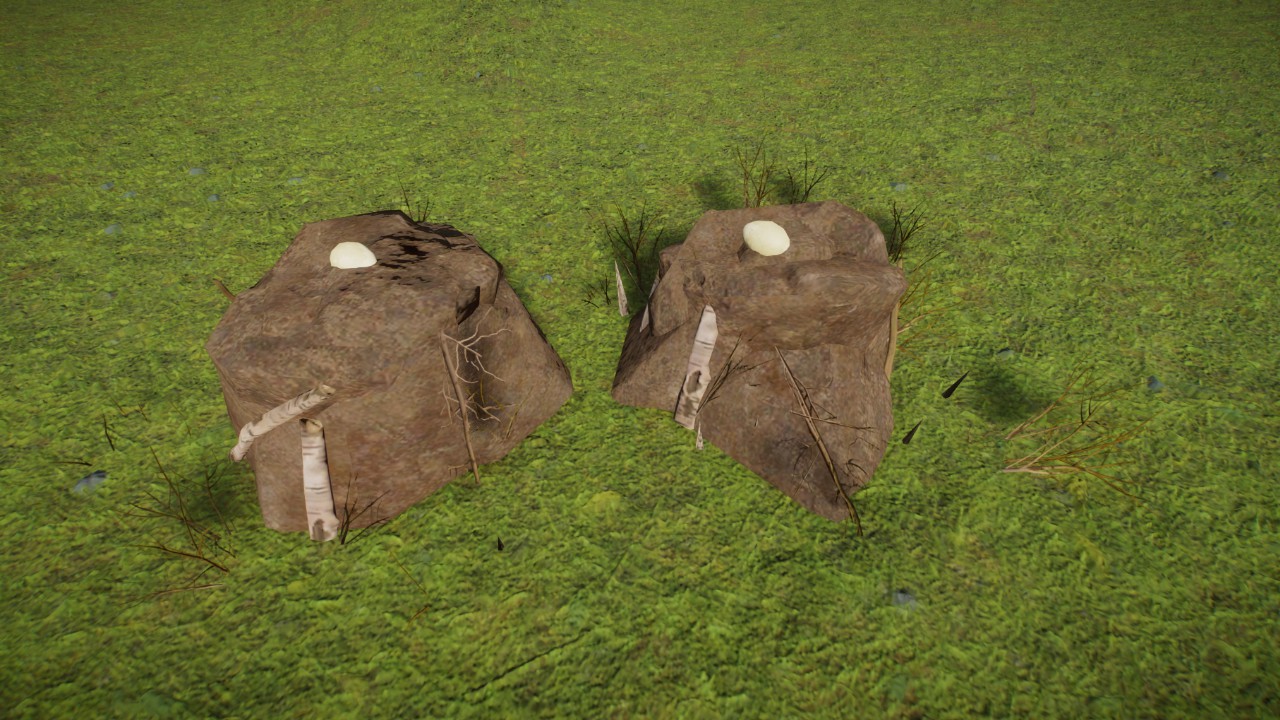 Flamingo nests
