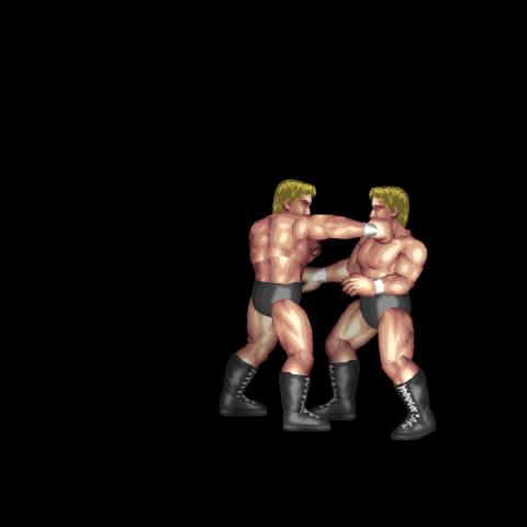 Brawler Combination