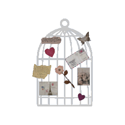 Bird Cage Wall Art- V3