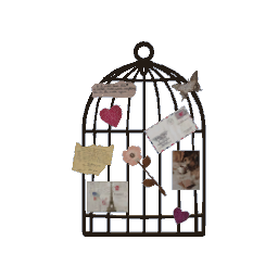 Bird Cage Wall Art- V6