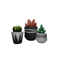 Succulent Trio- V2