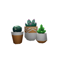 Succulent Trio- V5
