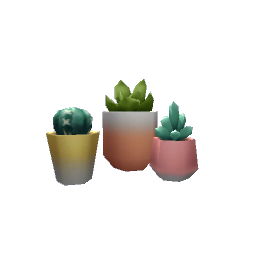 Succulent Trio- V6