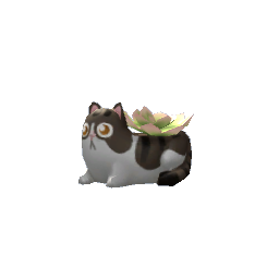 Cat Succulent- V4