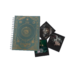 Diary and Photos- V2