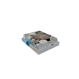 Ocean Books
