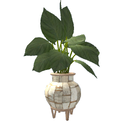 Beachy Plant- V3