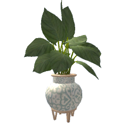 Beachy Plant- V5