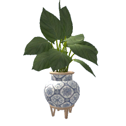 Beachy Plant- V6