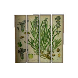 Vintage Wall Art- V9