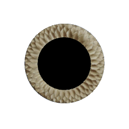 Modern Round Mirror- V8