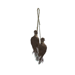 Hanging Birds