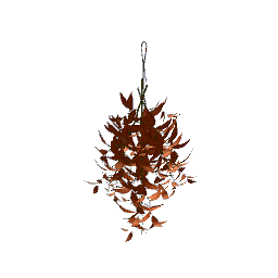 Hanging Herbs- V2