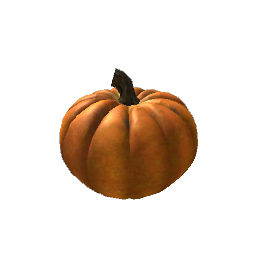 Medium Pumpkin- V1