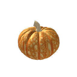 Medium Pumpkin- V2