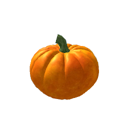 Medium Pumpkin- V4