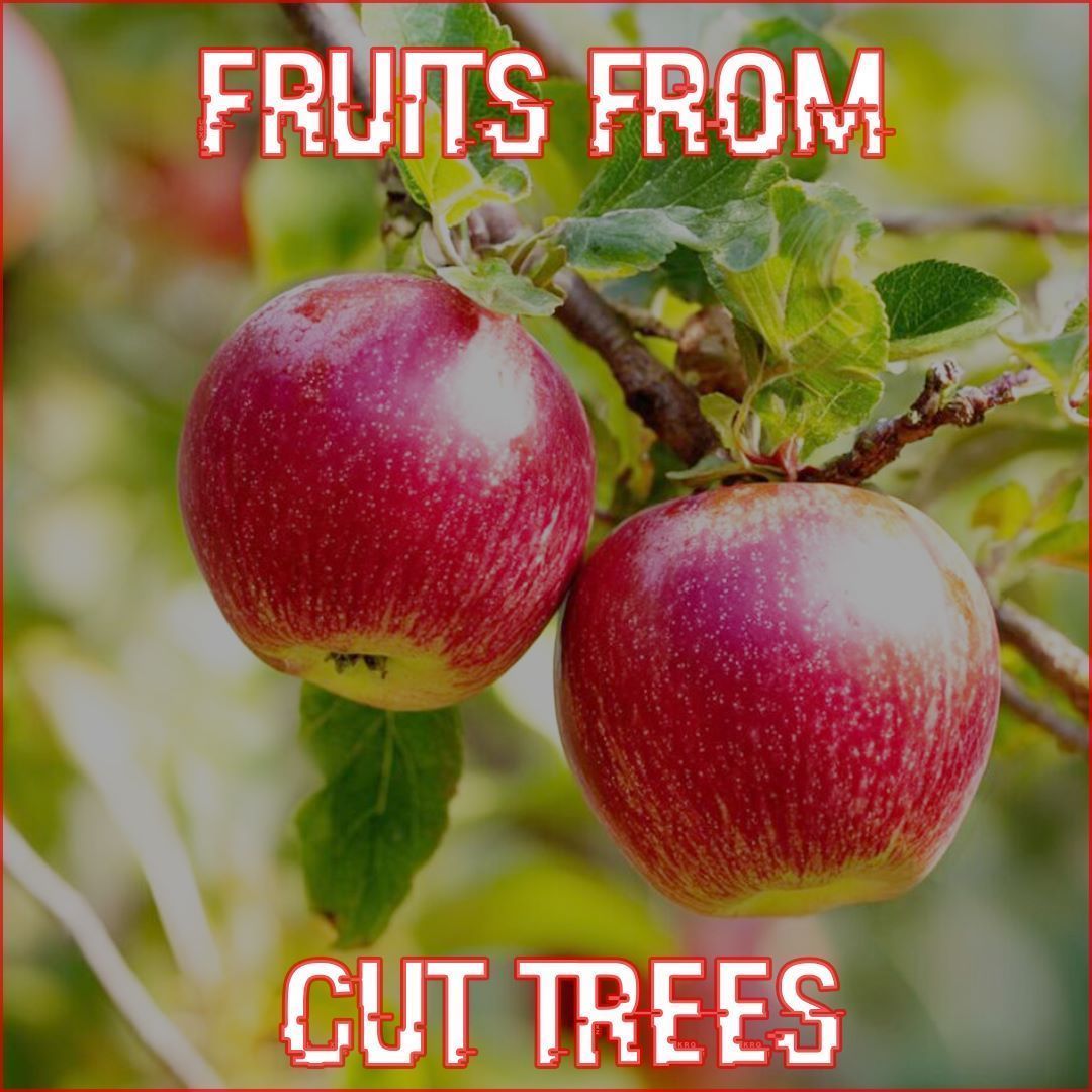 FruitsFromCutTrees