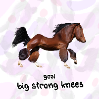 i lik horse knees