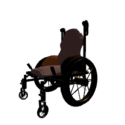 custom wheelchair preview