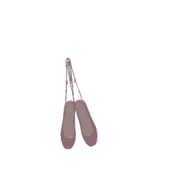 hanging ballet shoes