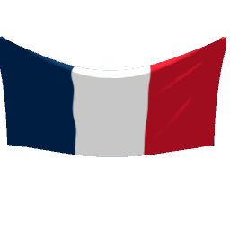 wall flag France