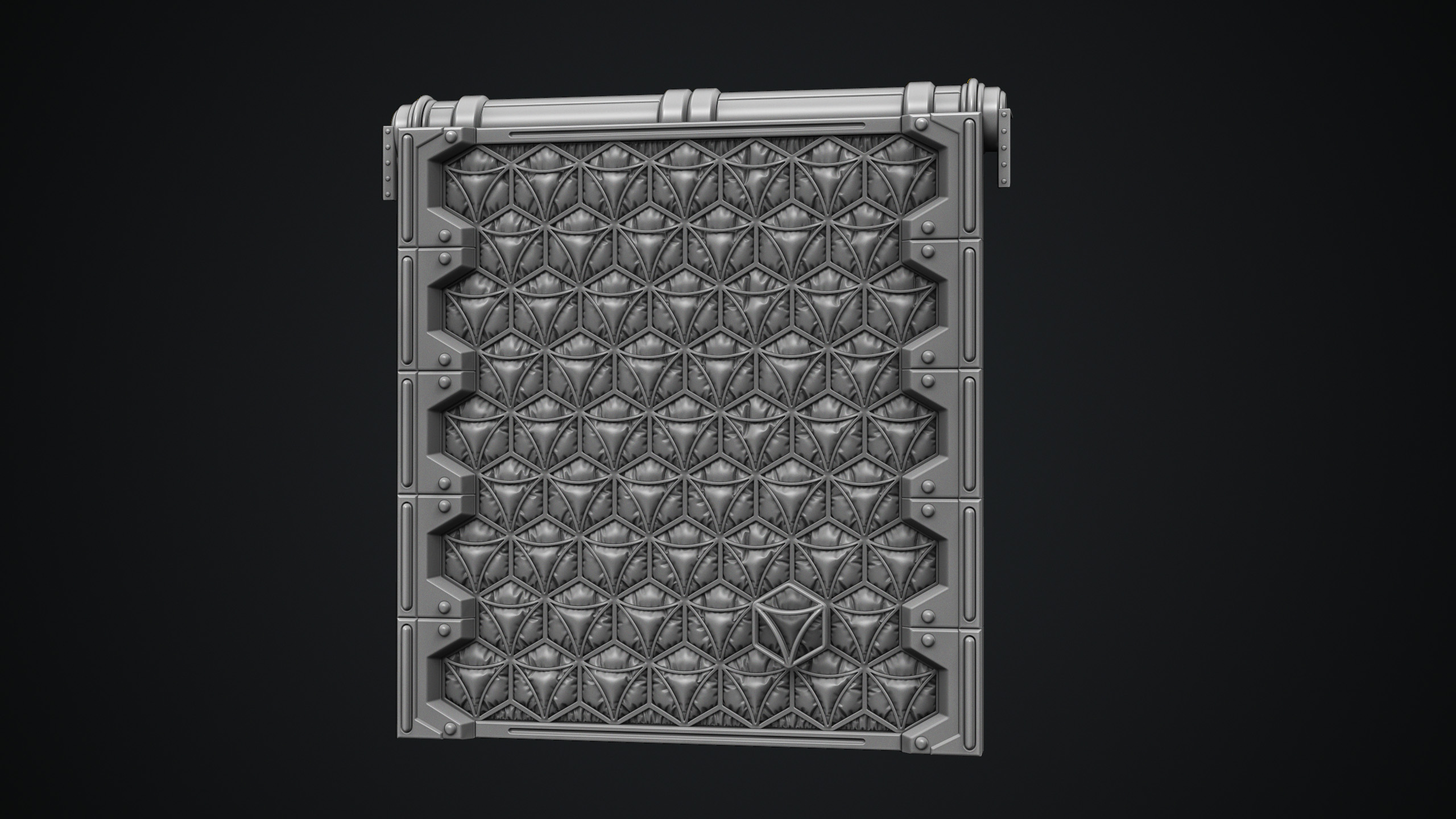 Dust Garage Door