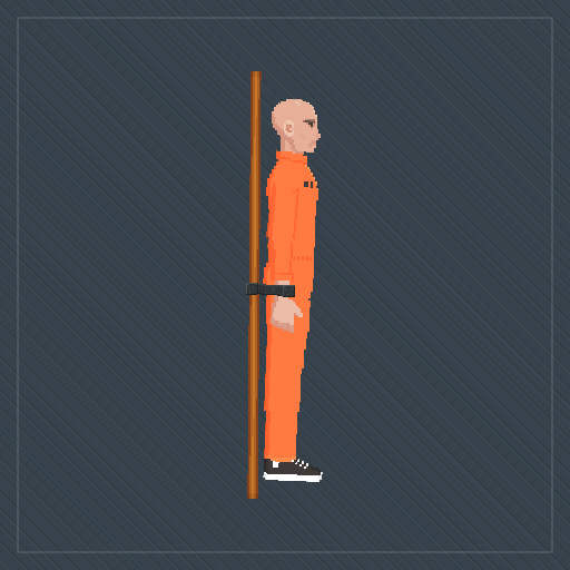 Execution