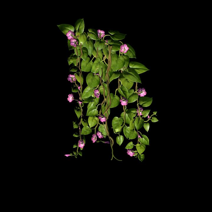 Vine_16