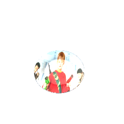 Holiday plate preview