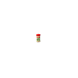 McCormick Onion powder