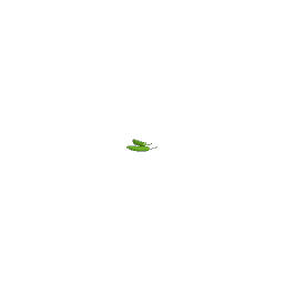 Jalapenos