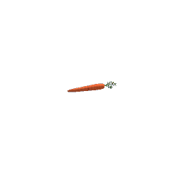 Carrot