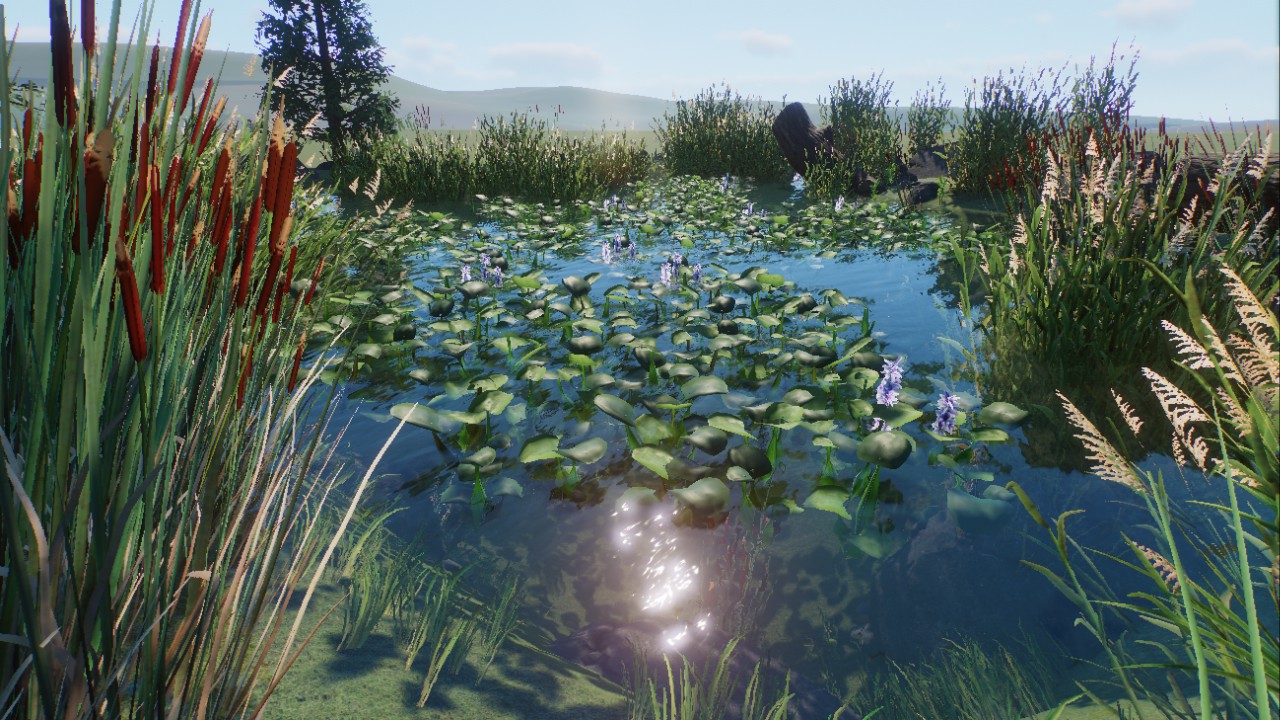 Natural Pond