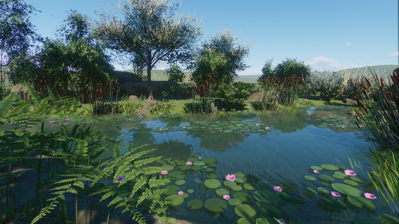 Nature Scenery 2