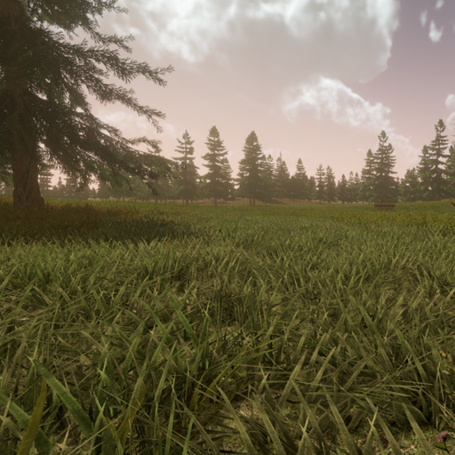 flatland forests