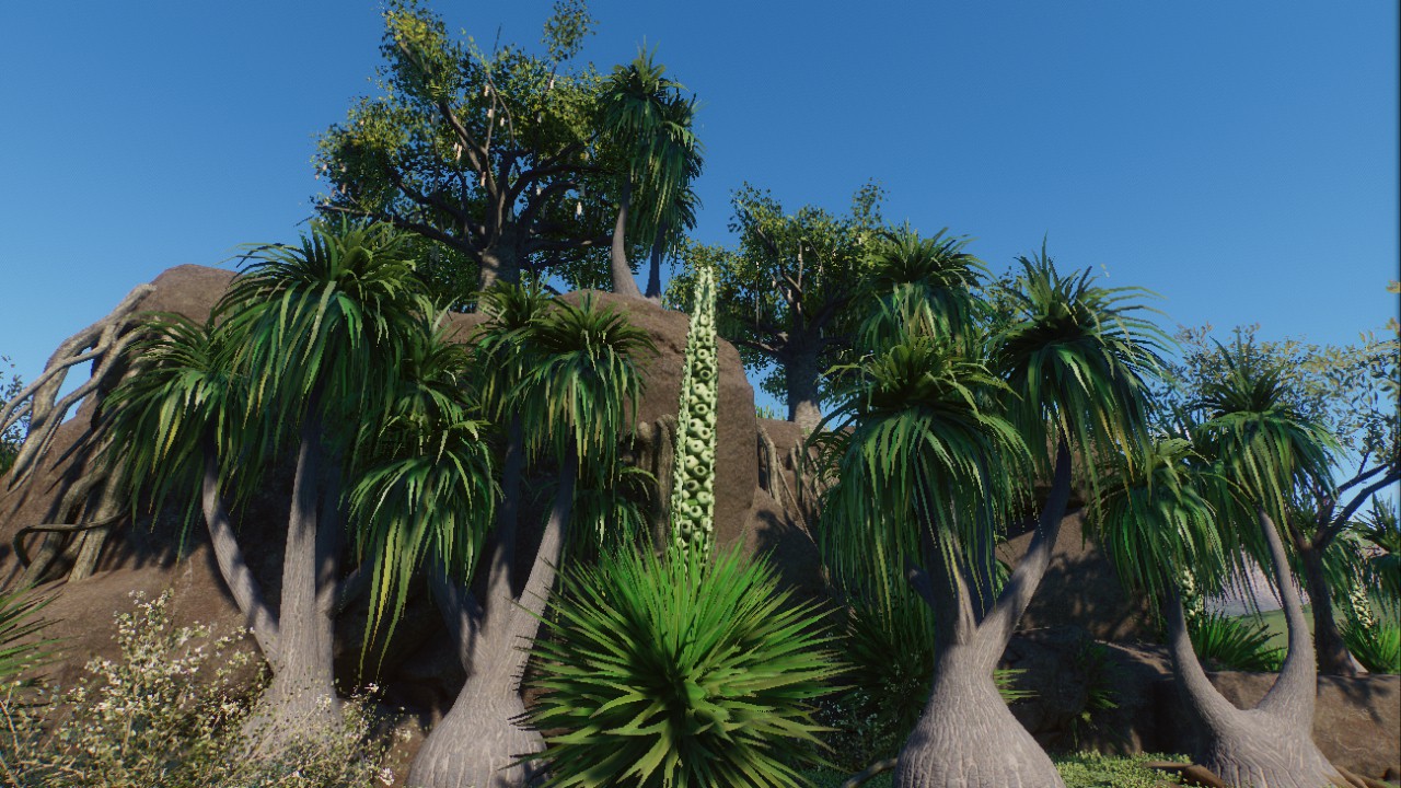 Jungle Rock 2