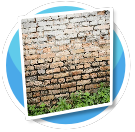 nature brick