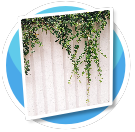 plant wall