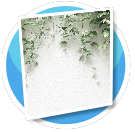 realistic plant wall