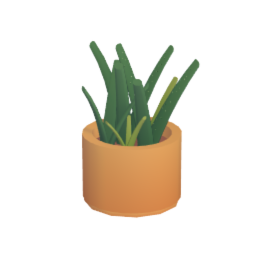 Aloe vera plant
