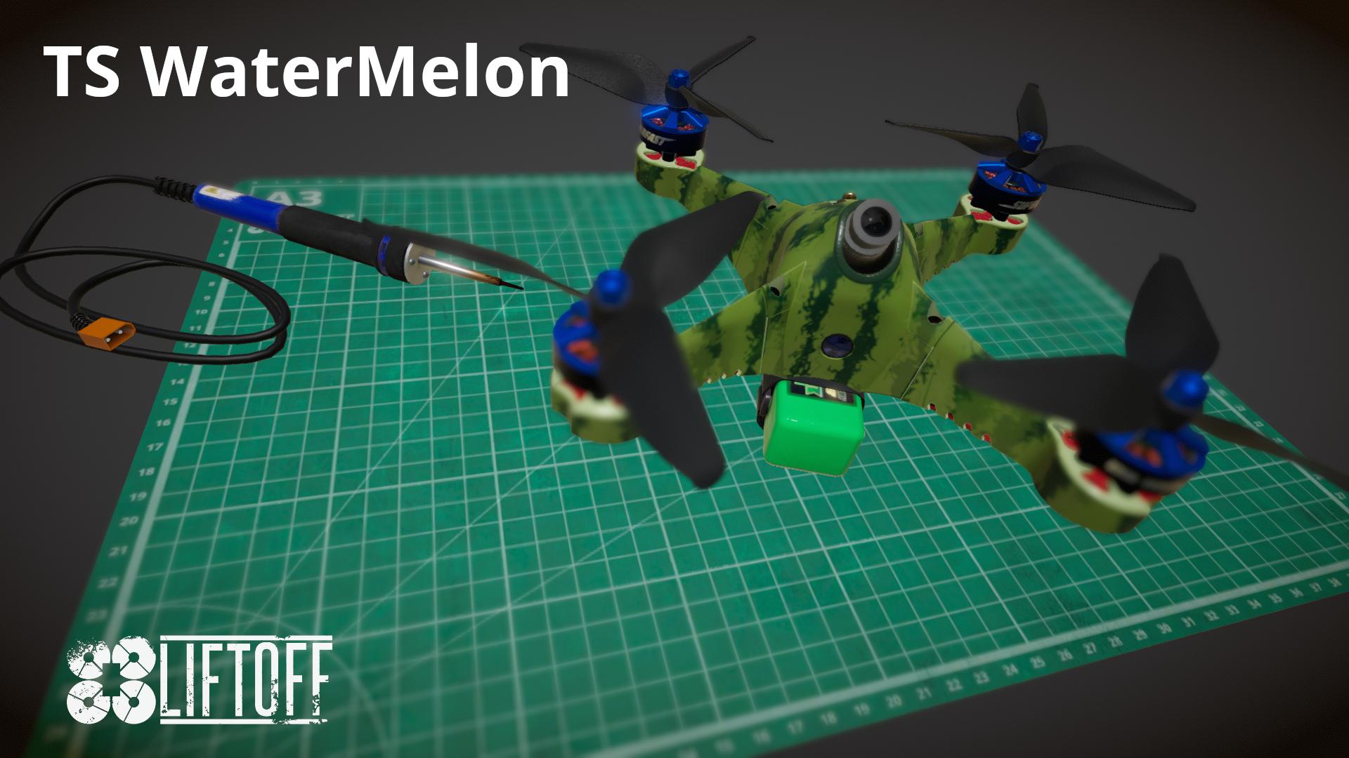 TS WaterMelon