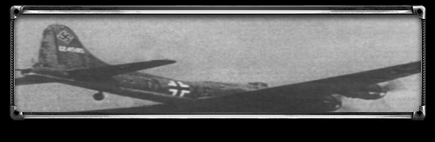 B-17 Captured Faceplate by EBS & Kiana Kaslana