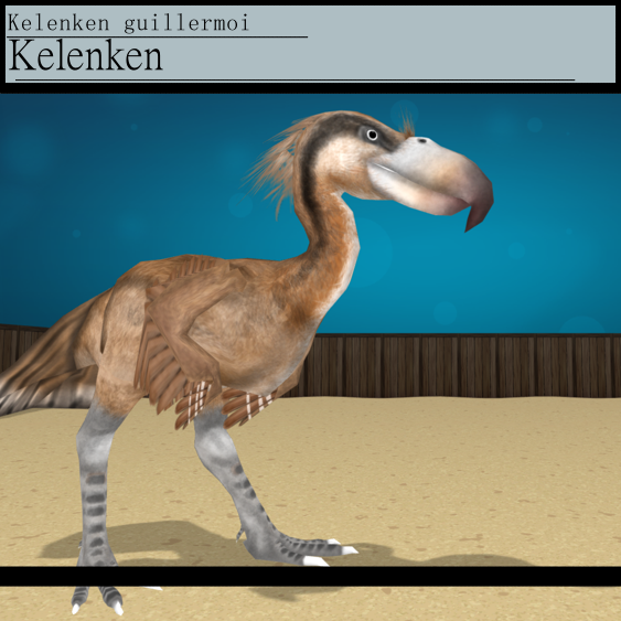Kelenken guillermoi