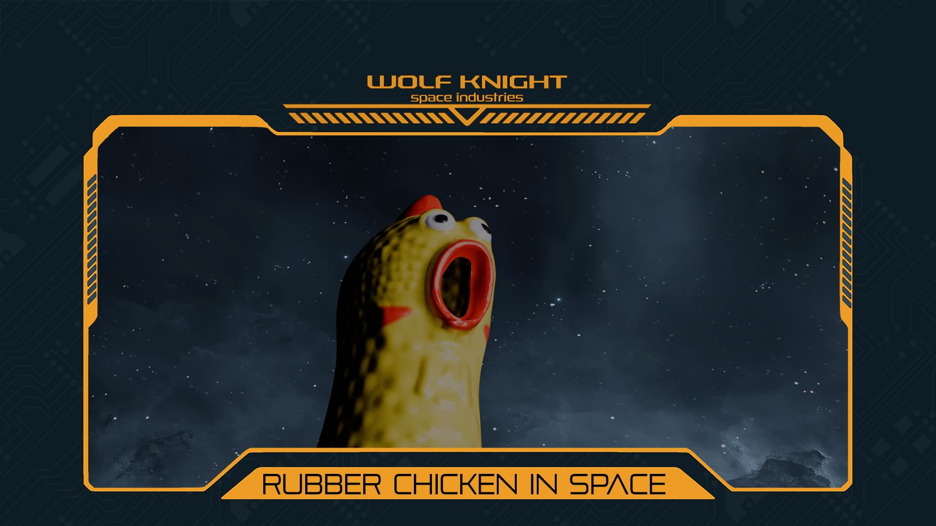 Rubber Chicken In Space