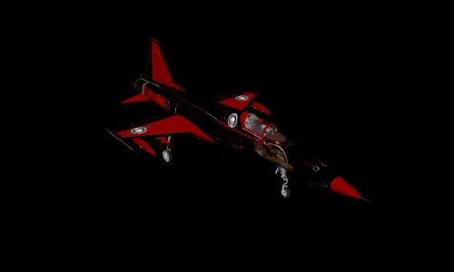 51st VAW F-5 Basic