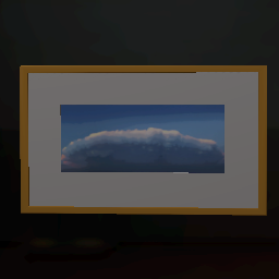 Framed Picture 13