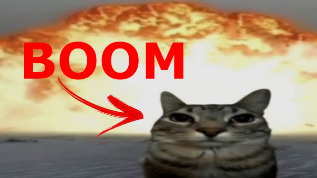BOOM CATS