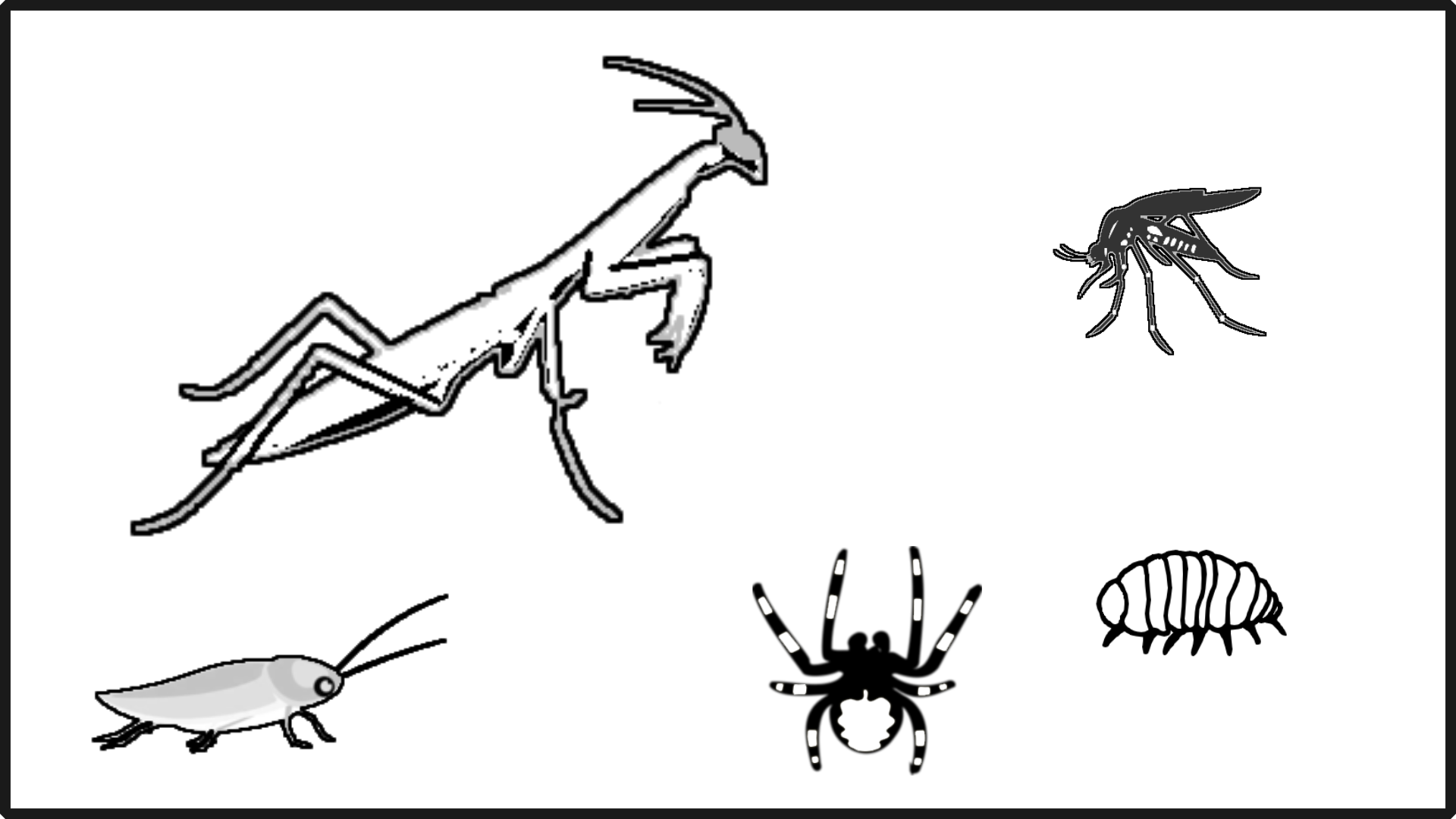 Nasty Insects! mod preview for RimWorld